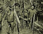 A colonização e o leite