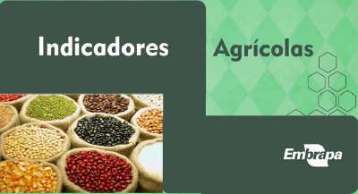 Indicadores Agrícolas